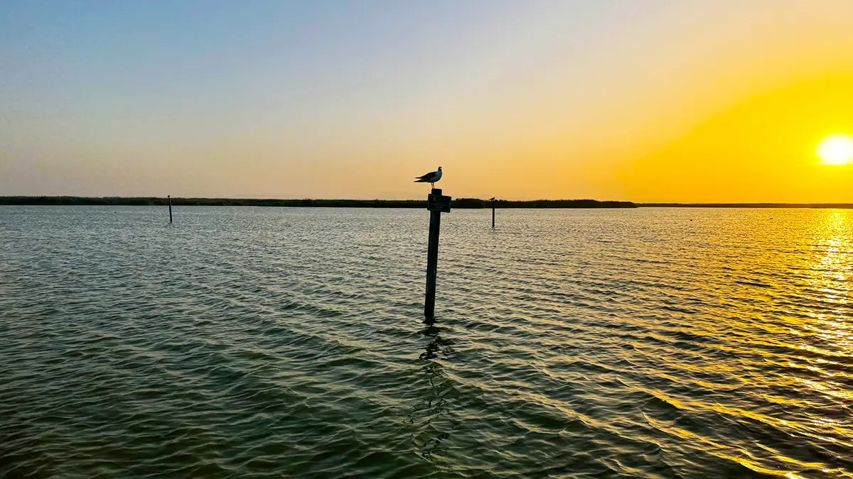 Albufera Lake